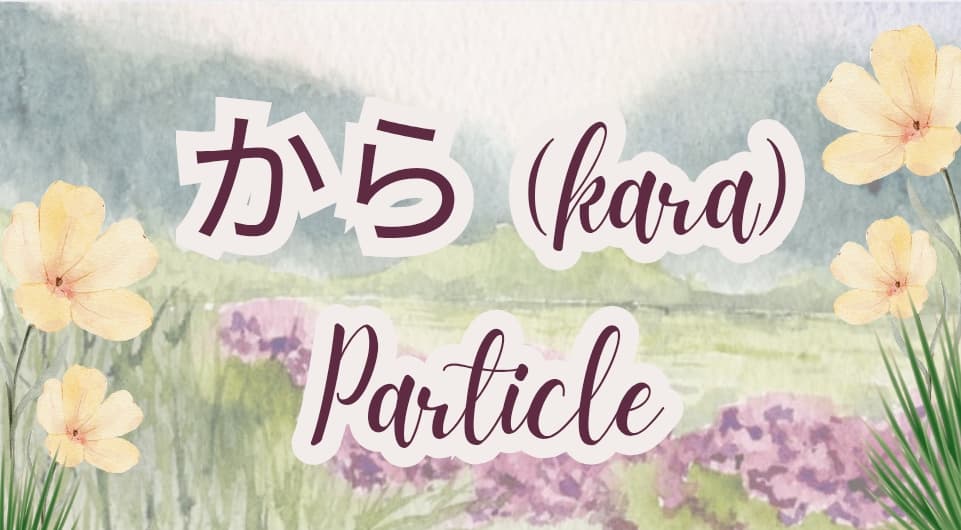 Complete Guide to the から (kara) Particle in Japanese: Time, Place, and Reason Explained